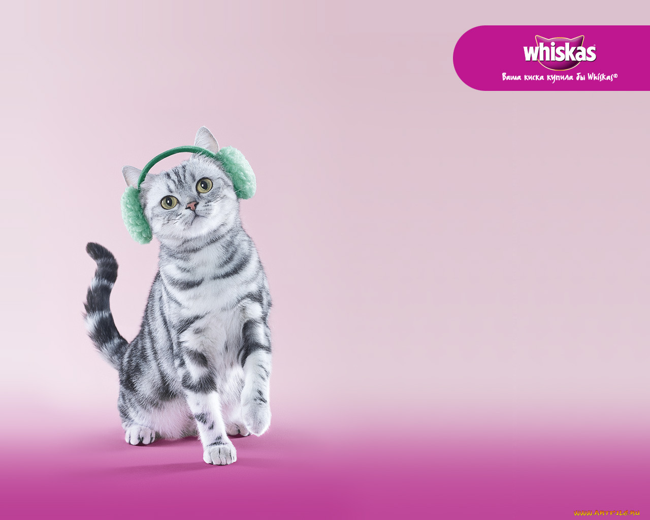 , whiskas